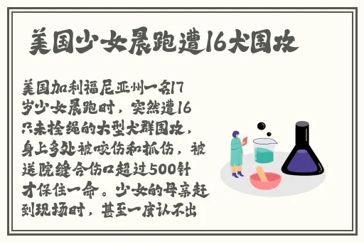 jazz老师和hiphop老师